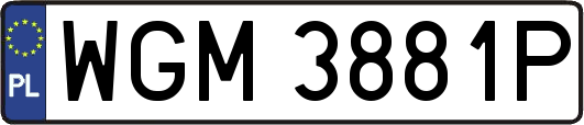 WGM3881P