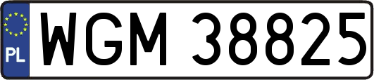 WGM38825