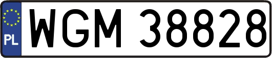 WGM38828
