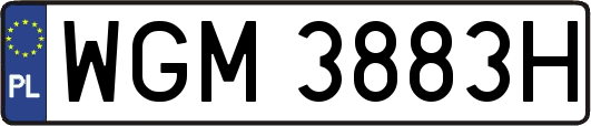 WGM3883H
