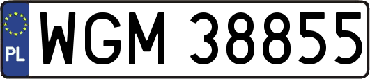 WGM38855