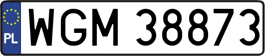 WGM38873