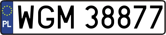 WGM38877
