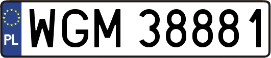 WGM38881