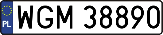 WGM38890