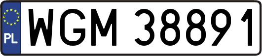 WGM38891