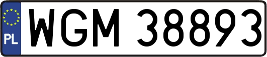 WGM38893