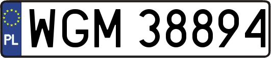 WGM38894