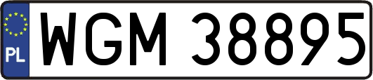 WGM38895