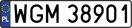 WGM38901