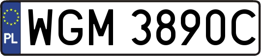 WGM3890C