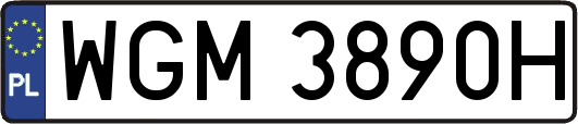 WGM3890H