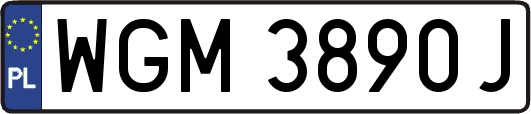 WGM3890J