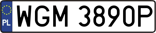 WGM3890P