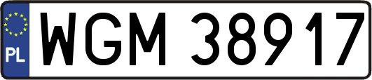 WGM38917