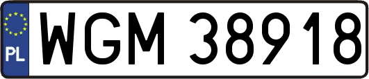 WGM38918