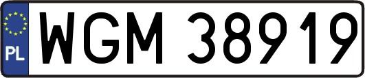 WGM38919