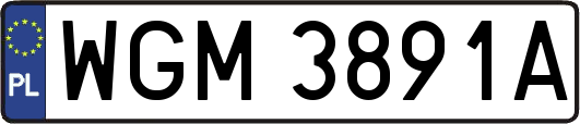WGM3891A