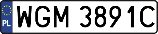 WGM3891C