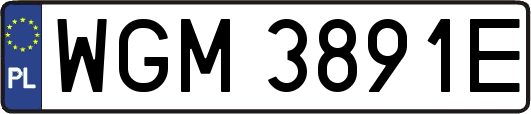 WGM3891E