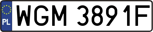 WGM3891F