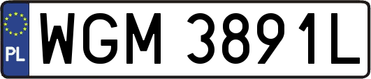 WGM3891L