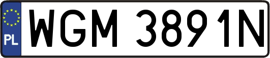 WGM3891N