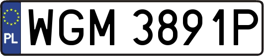 WGM3891P