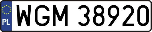 WGM38920