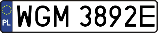 WGM3892E