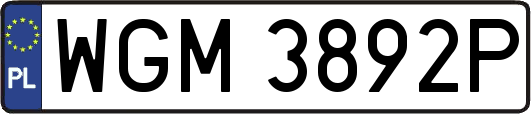 WGM3892P