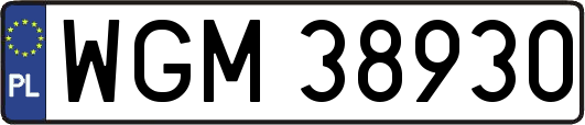 WGM38930