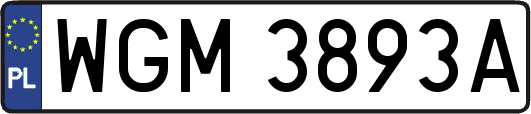 WGM3893A