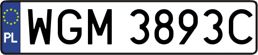 WGM3893C