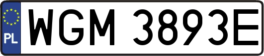 WGM3893E