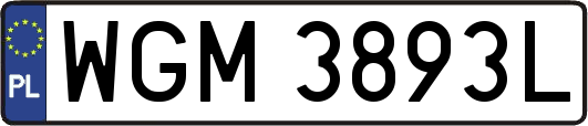 WGM3893L