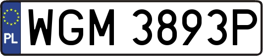 WGM3893P