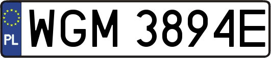 WGM3894E