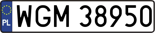 WGM38950