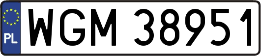 WGM38951