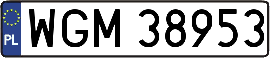 WGM38953