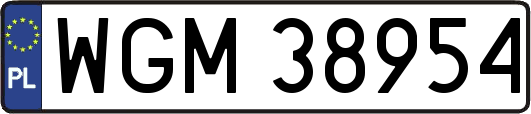 WGM38954