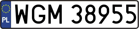 WGM38955