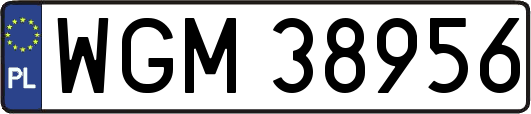 WGM38956