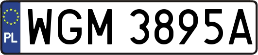 WGM3895A