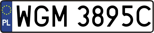 WGM3895C