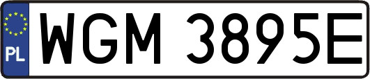 WGM3895E