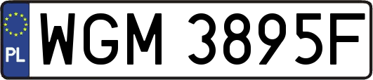 WGM3895F