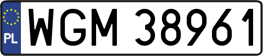 WGM38961