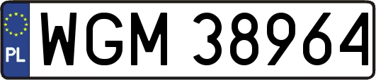 WGM38964